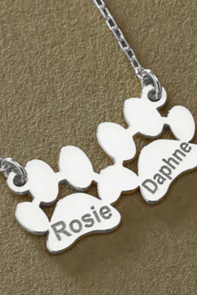 The Laure Laser Engraving Pet Memorial Clavicle Chain Detail – La Rose Couture Dresses & Gowns
