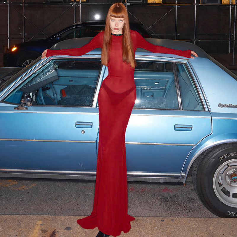Sexy Mesh Backless Long Sleeve Dress
