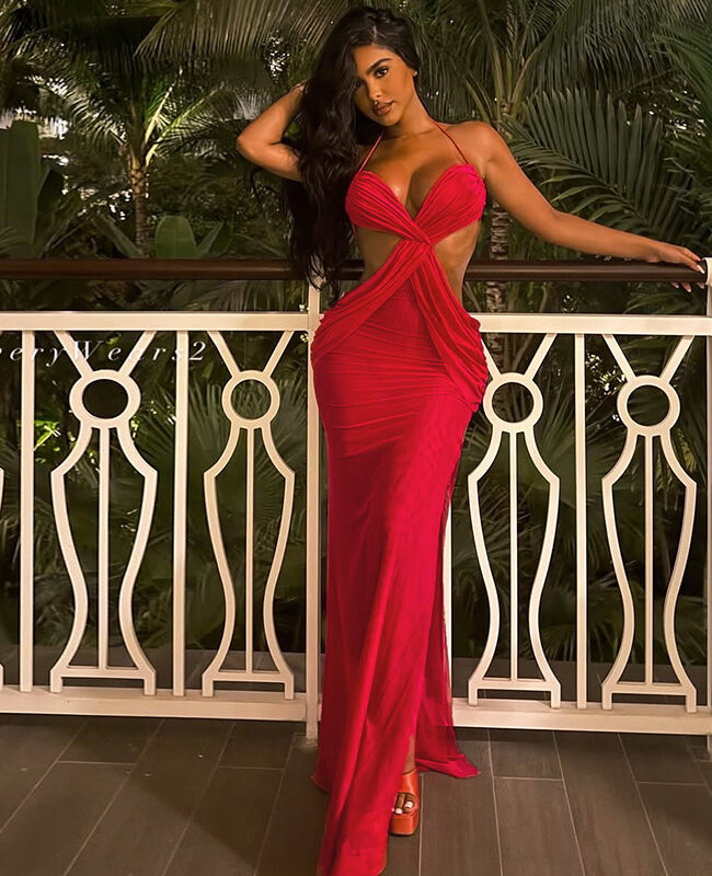 The Valerie Backless Halter Neck Long Dress Detail – La Rose Couture Dresses & Gowns