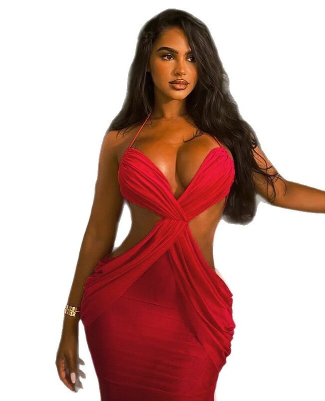 The Valerie Backless Halter Neck Long Dress Detail – La Rose Couture Dresses & Gowns