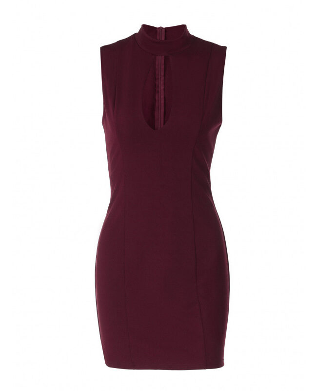 The Blanche Slim Fit Hollow Out Back Zip Bodycon Dress Detail – La Rose Couture Dresses & Gowns