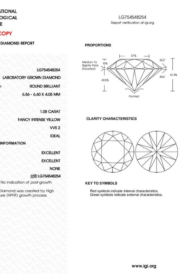 The Pascaline Lab Grown Round Yellow Diamond Detail – La Rose Couture Jewellery & Accessories