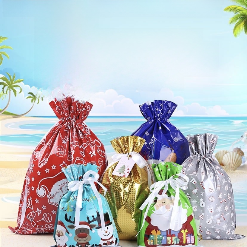 Christmas Gift Bag